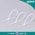 Self-Locking Plastic Nylon Cable Tie with Ce SGS RoHS